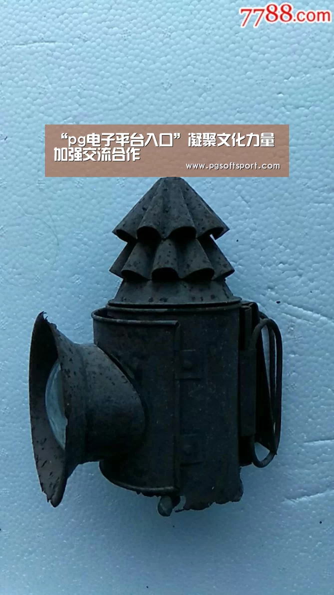“pg电子平台入口”凝聚文化力量加强交流合作